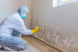 Best Commercial Mold Inspection in Hometown, IL